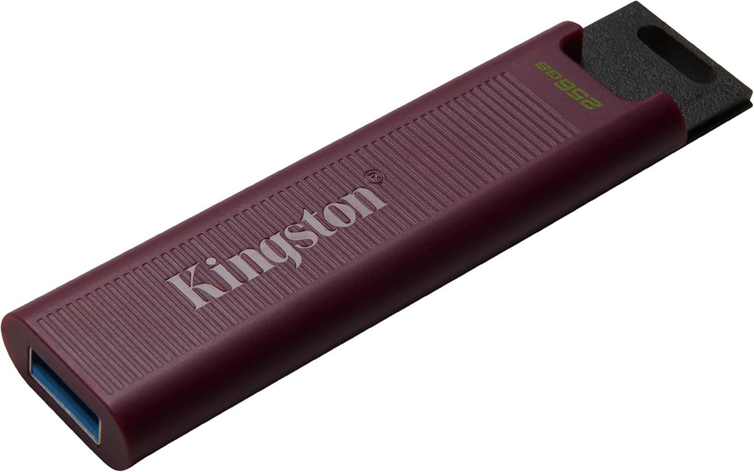 Pen drive Kingston DataTraveler Max vista frontale