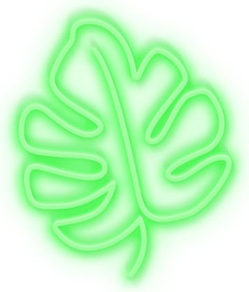 Candyshock insegna LED neon foglia 40cm decorazione parete camera qualità controllata