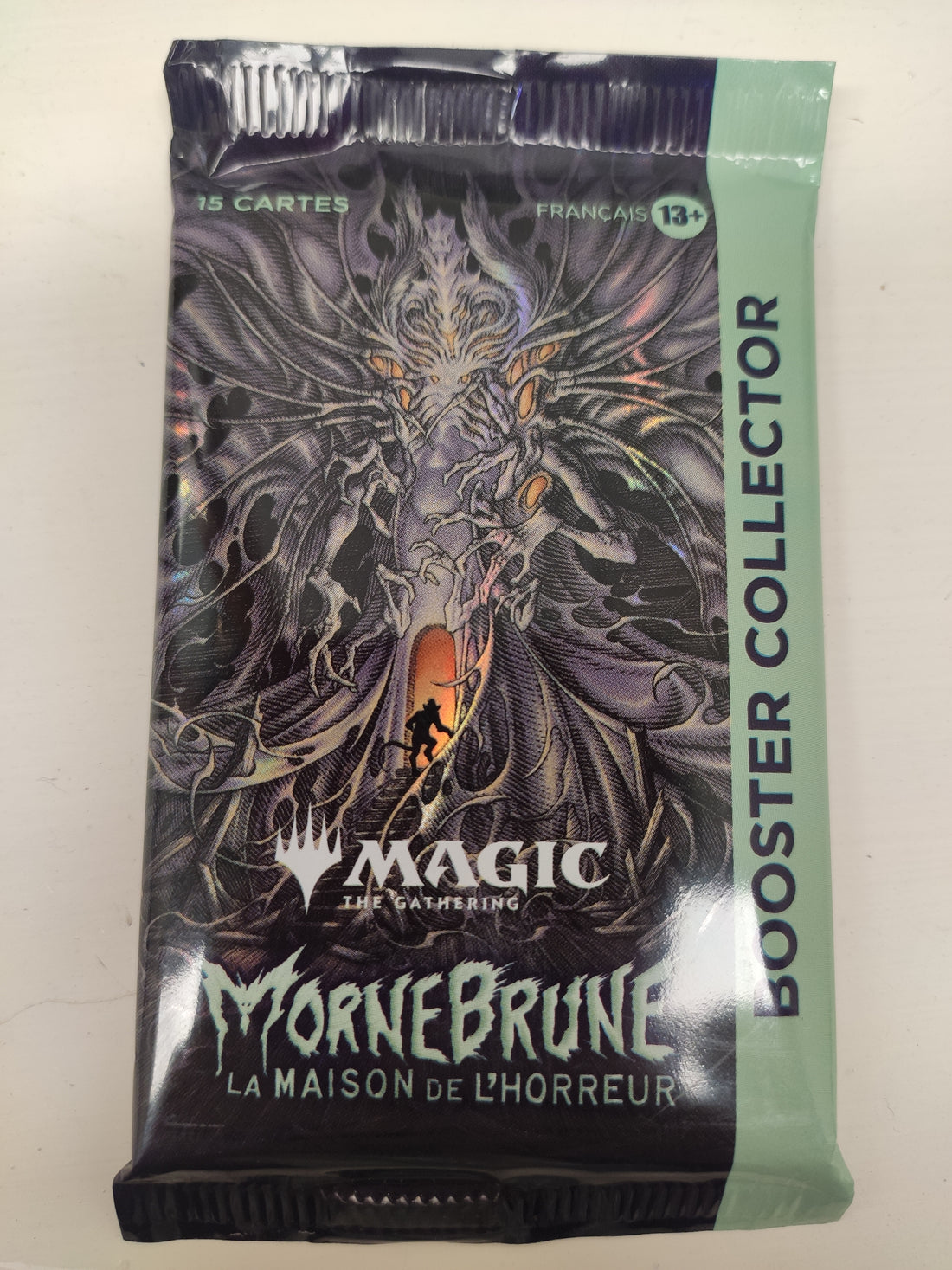 Magic The gathering Mornebrune Singola Bustina Francese