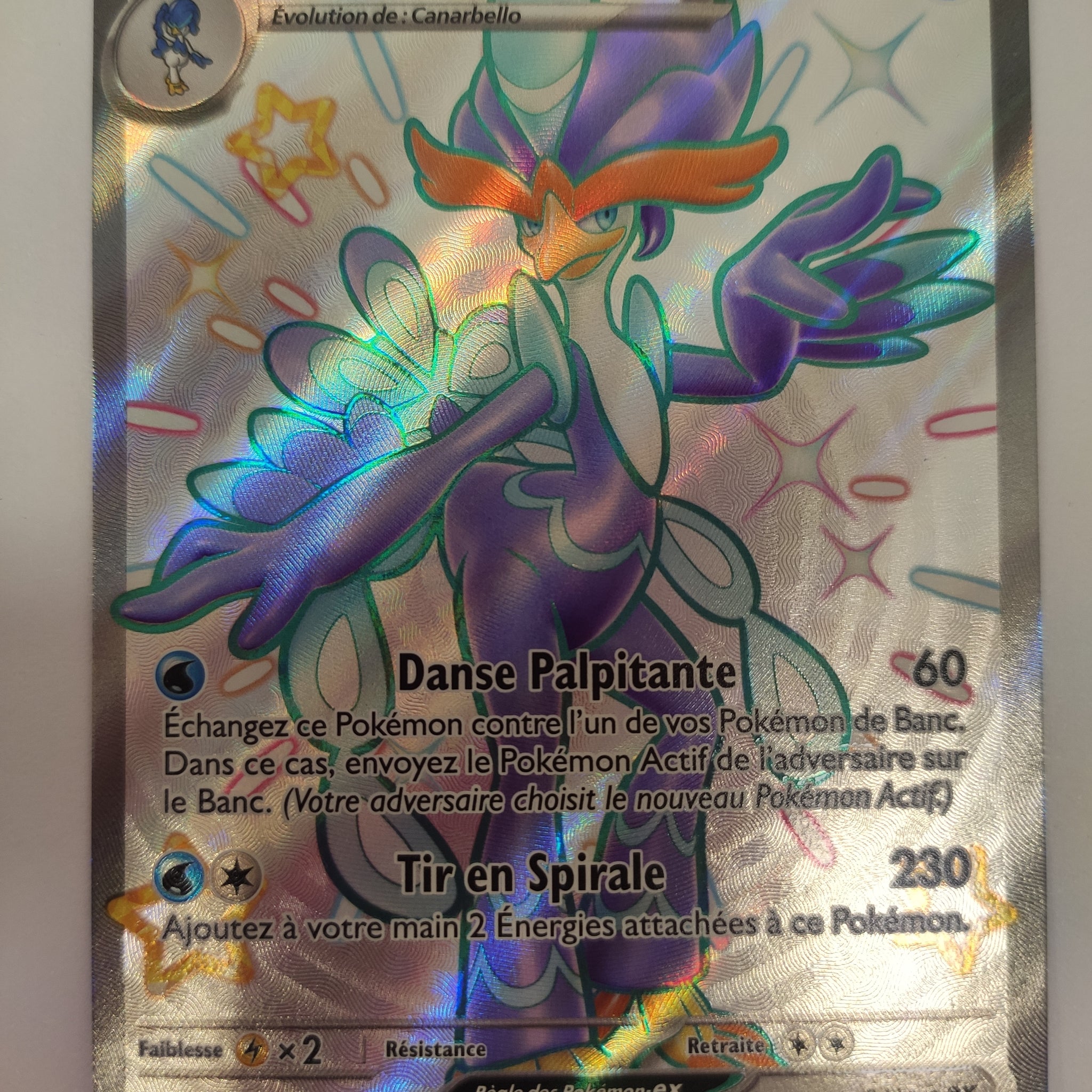 PALMAVAL EX 084 Full Art FA SHINY EV4.5 SVP FR